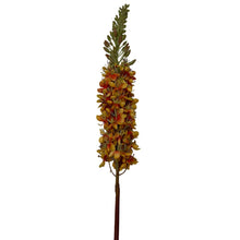 Afbeelding in Gallery-weergave laden, Zijden Eremurus tak oranje