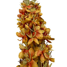 Afbeelding in Gallery-weergave laden, Zijden Eremurus tak oranje