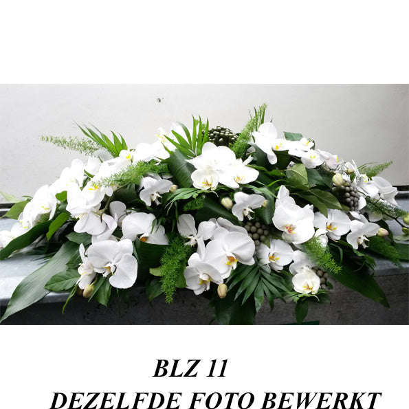 Blz. 11 |  Ovaal witte Phalaenopsis-orchideeën