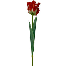 Load image into Gallery viewer, Zijden papegaai tulp rood
