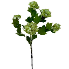 Load image into Gallery viewer, Zijden sneeuwbal (Viburnum) tak
