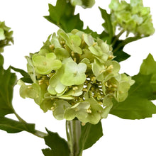 Load image into Gallery viewer, Zijden sneeuwbal (Viburnum) tak
