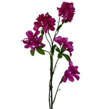 Load image into Gallery viewer, Zijden Rhododendron (Azalea) tak roze
