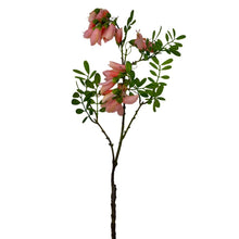 Load image into Gallery viewer, Silk broom spray light pink
