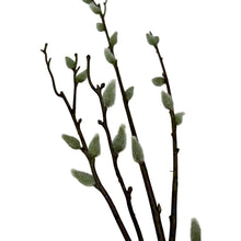 Load image into Gallery viewer, Zijden wilgentak
