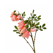 Load image into Gallery viewer, Silk broom spray light pink
