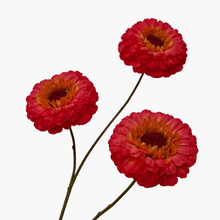 Load image into Gallery viewer, Silk ranunculus branch red
