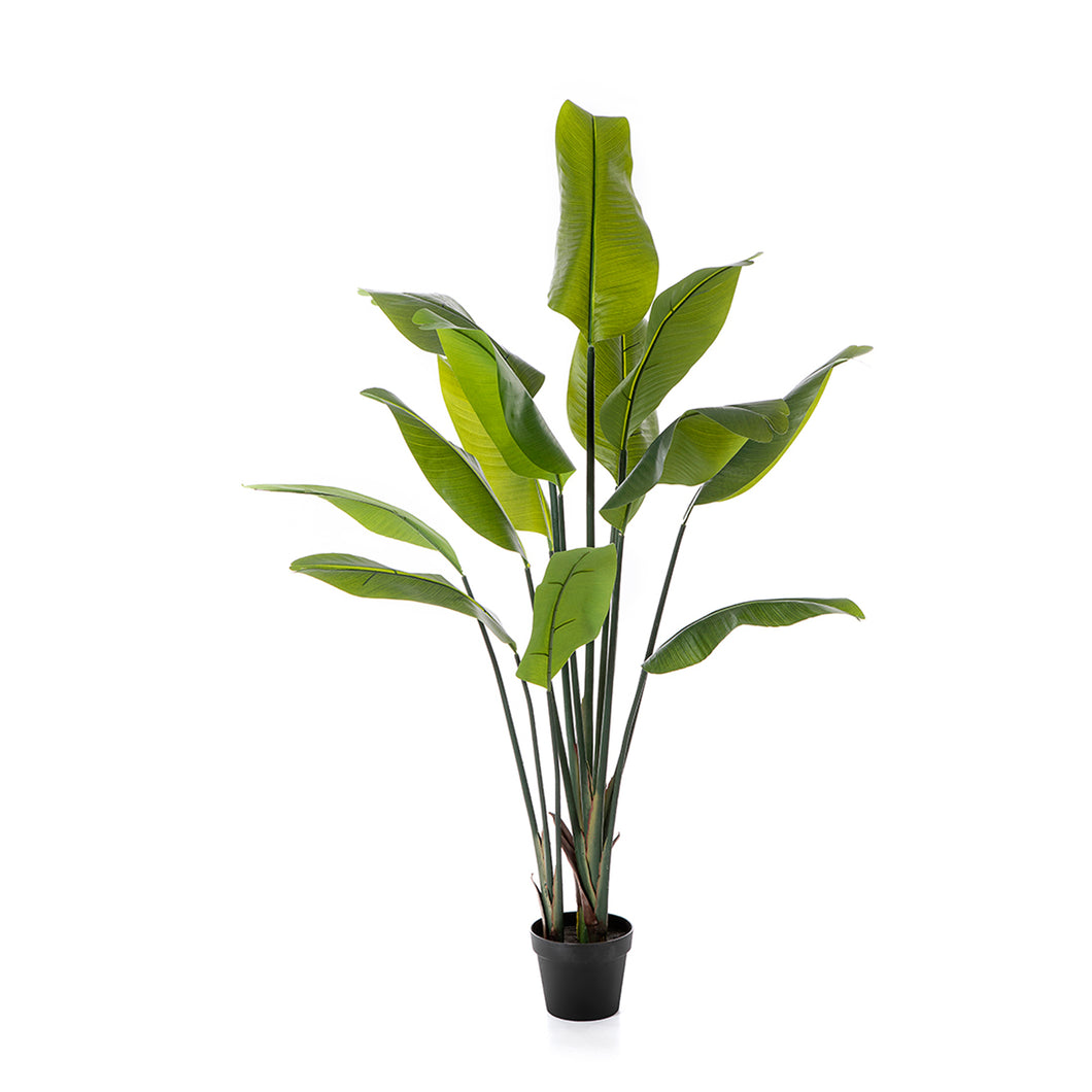 Strelitzia kunstplant