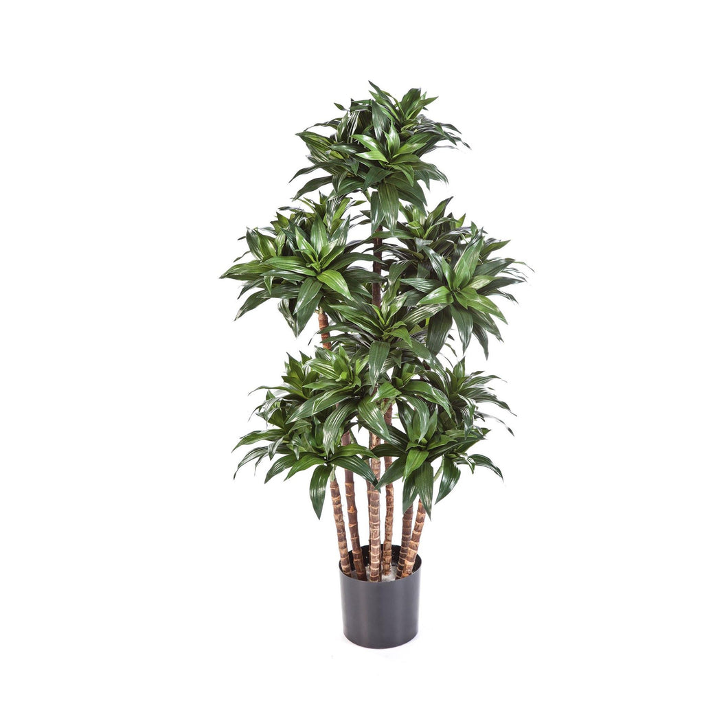 Dracaena Compacta kunstplant